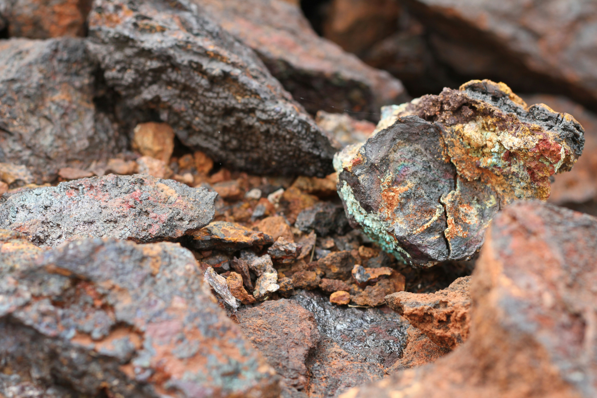 Services critical minerals